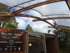 -怀托摩萤火虫洞