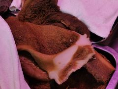 -洪记白水羊头(留学路店)