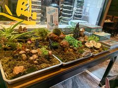 -福照楼汽锅鸡·云南菜(护国路店)