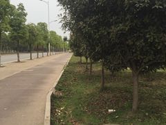 -东方豪景花园酒店·怡景旋转餐厅