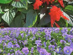 -海心沙亚运公园