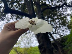 -杭州植物园