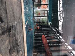 -大舜天成游泳馆(山大路店)