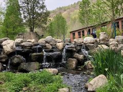 -白水寺森林公园