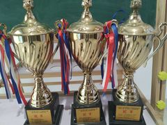 -陈中跆拳道(中关村馆)