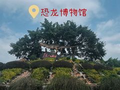 -自贡恐龙博物馆