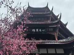 -成都杜甫草堂博物馆