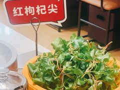 -喜味涮自助小火锅(广州东圃天河城店)