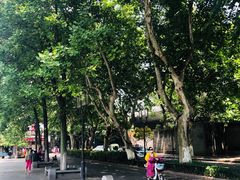 -临安城遗址(太庙遗址)