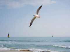 -海云台海滩
