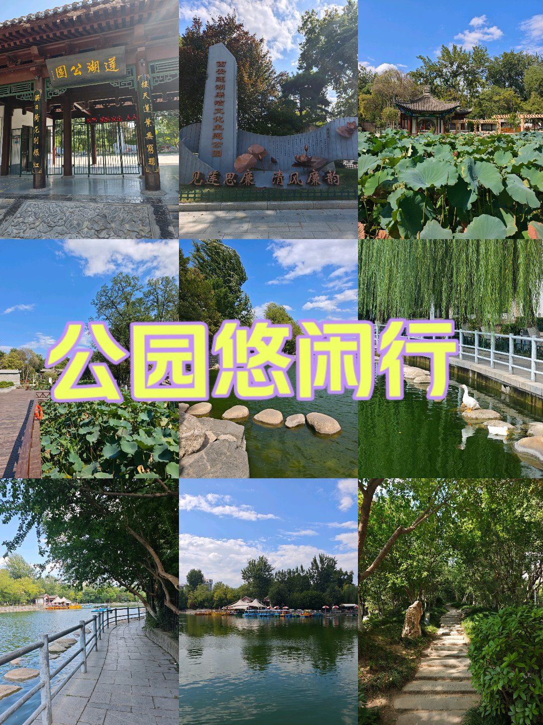 西安小众公园分享,景色宜人的莲湖公园.