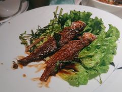 -筱爷叔·上海传统手工菜(玉树路店)