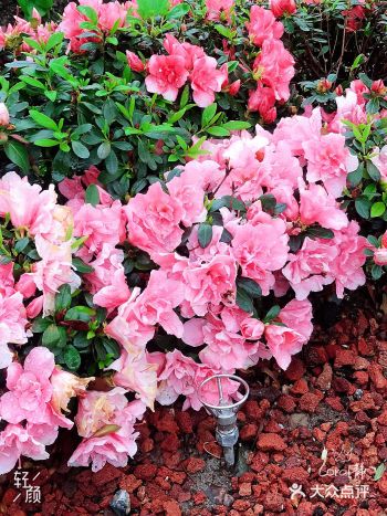 春天来临,万物复苏的时间又来到了哦!