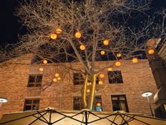 -麦落精酿啤酒餐吧(先农大院店)