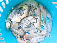 -范饭椰林川湘味海鲜·椰子鸡(三亚湾椰梦长廊店)