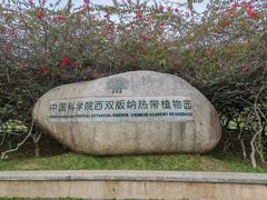 -中国科学院西双版纳热带植物园