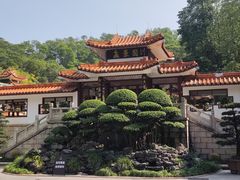 -深圳仙湖植物园