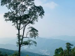 -广州市帽峰山景区