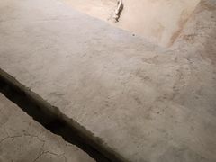 -洛阳周王城天子驾六博物馆