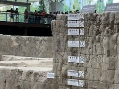 -金沙遗址博物馆