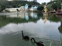 -深圳东部华侨城茵特拉根酒店