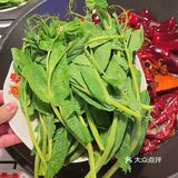 豌豆尖-重庆火锅的必须单品