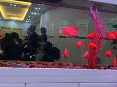 -慈铭体检(洋桥分院)