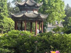 -洛阳白马寺