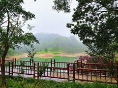 -大雁山风景区