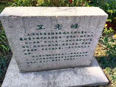 -上海方塔园