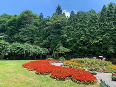 -庐山风景区花径公园