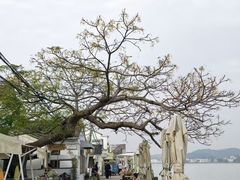 -东钱湖旅游度假区