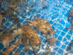 -小时候焗海鲜(鄞州万达店)