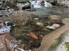 -西岭雪山大飞水景区