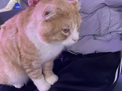 -极木²邸 人与宠物·互动社区