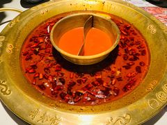罗宋鸳鸯锅-哥老官重庆美蛙鱼头(五角场合生汇店)