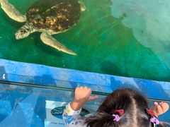 -北戴河圣蓝海洋公园