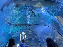 -南昌海洋公园