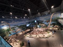 -自贡恐龙博物馆