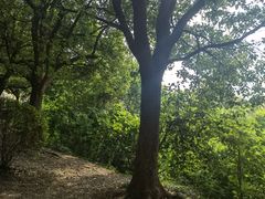-南京市江宁方山