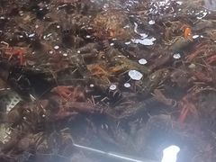 -聚盛源蒸汽海鲜火锅烤肉自助(巨川金海岸购物广场店)