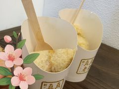 -真真老老(月河花鸟市场店)