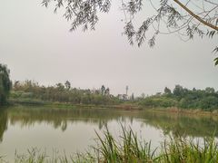 -白鹭湾湿地公园