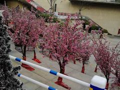 -易生活购物公园