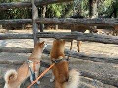 -竹泉村旅游度假区