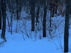 -翠云山银河滑雪场