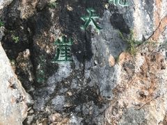 -塔云山