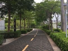 -深圳湾公园(南山区)