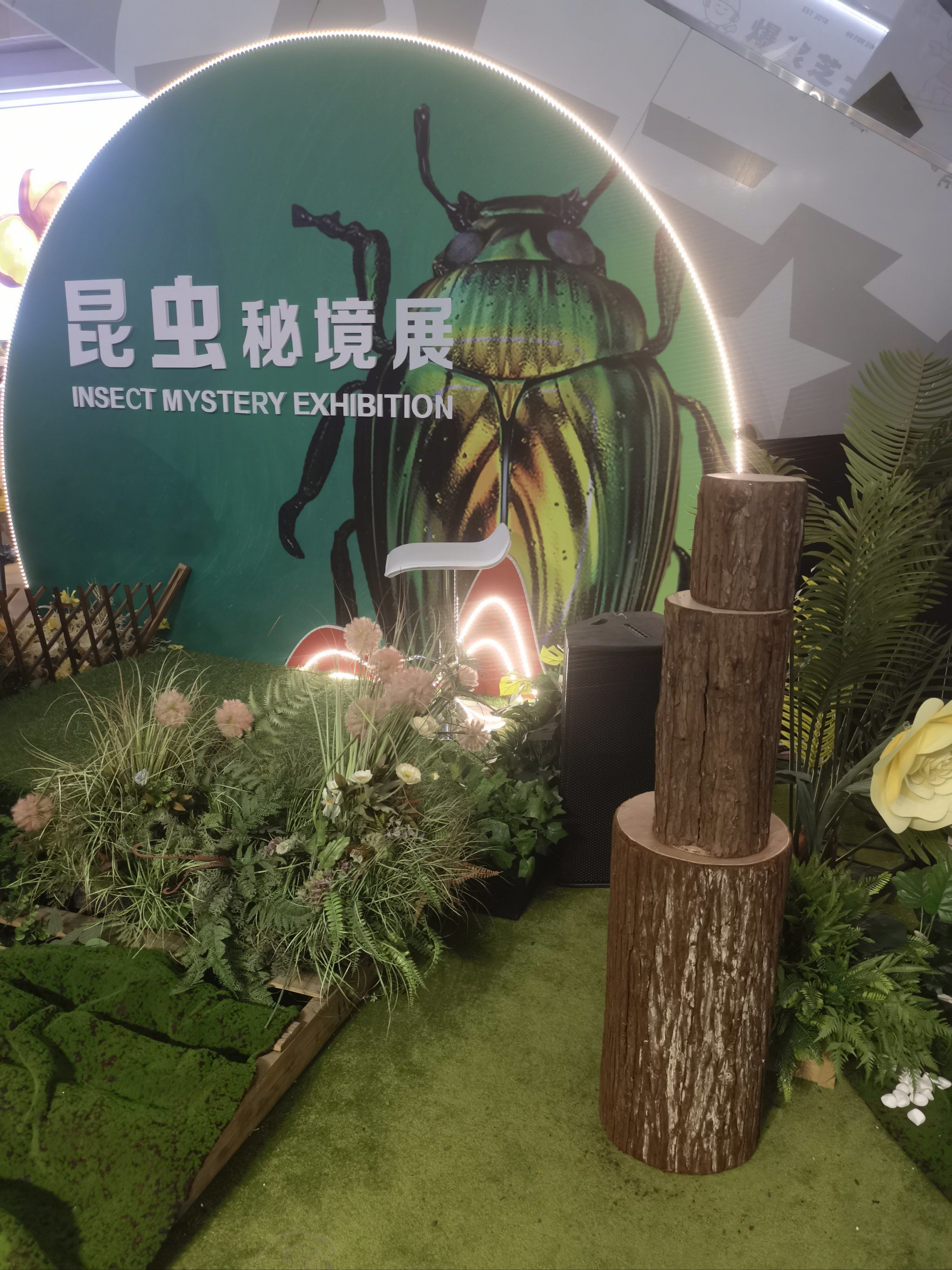 石路天虹昆虫展