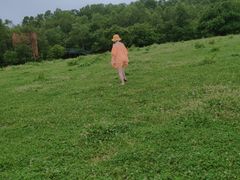 -关山草原